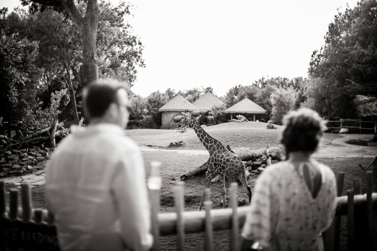 Cowtown Summer Soiree