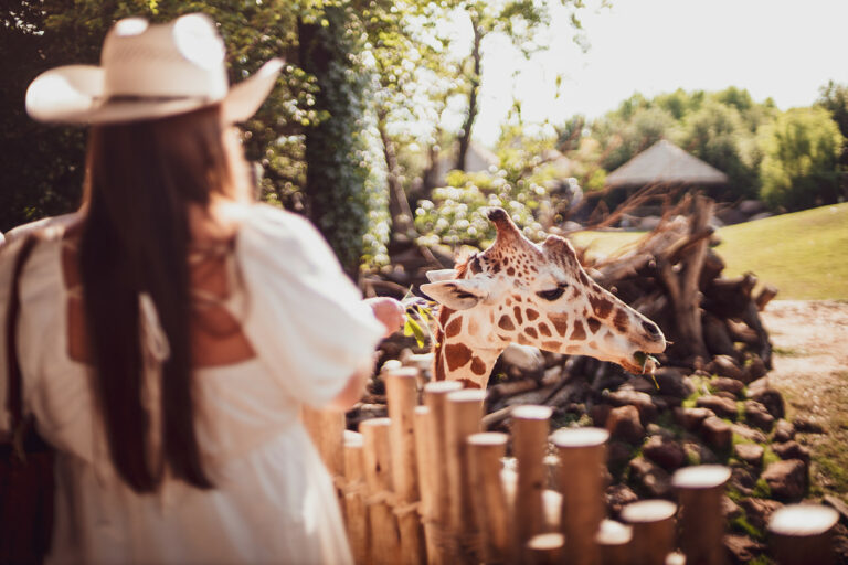 Cowtown Summer Soiree