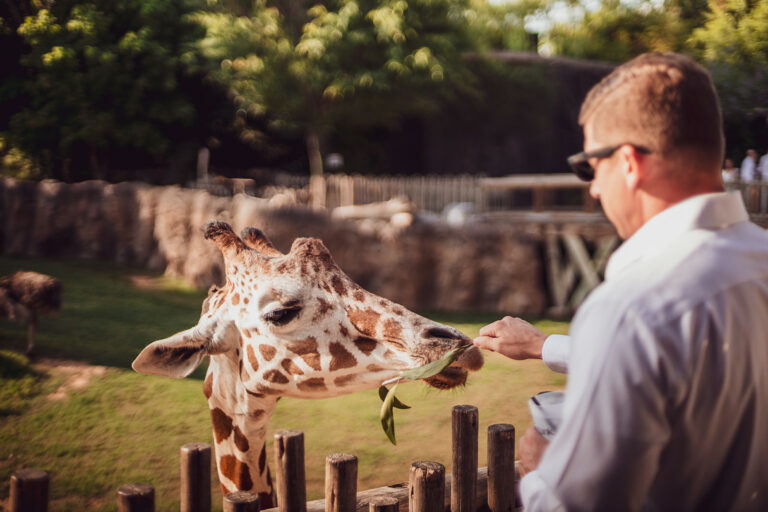 Cowtown Summer Soiree
