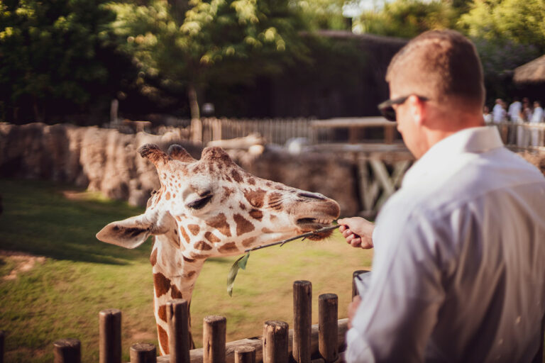 Cowtown Summer Soiree