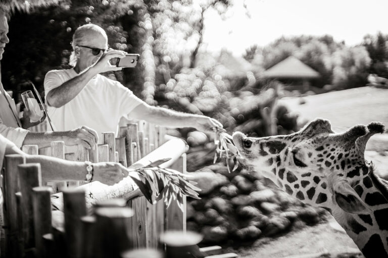 Cowtown Summer Soiree