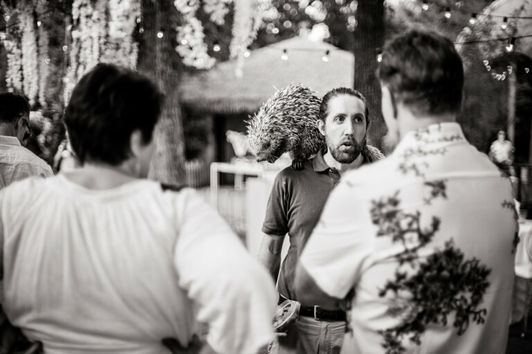 Cowtown Summer Soiree