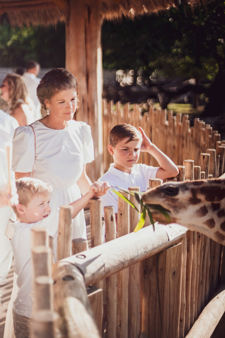 Cowtown Summer Soiree