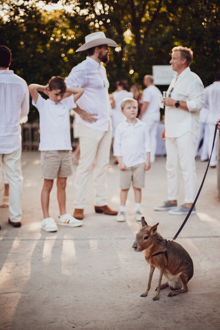 Cowtown Summer Soiree