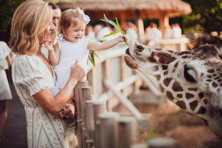 Cowtown Summer Soiree