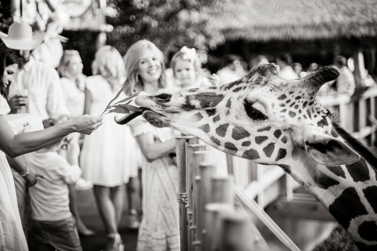 Cowtown Summer Soiree