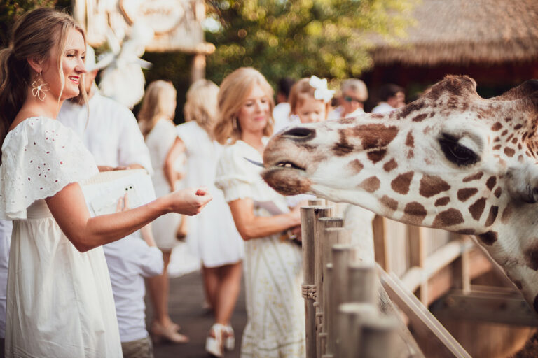 Cowtown Summer Soiree