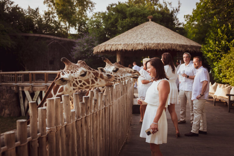 Cowtown Summer Soiree 2023