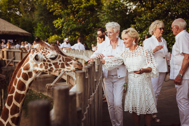 Cowtown Summer Soiree 2023