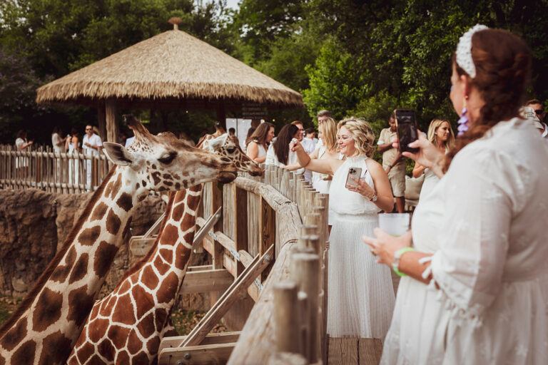 Cowtown Summer Soiree 2023