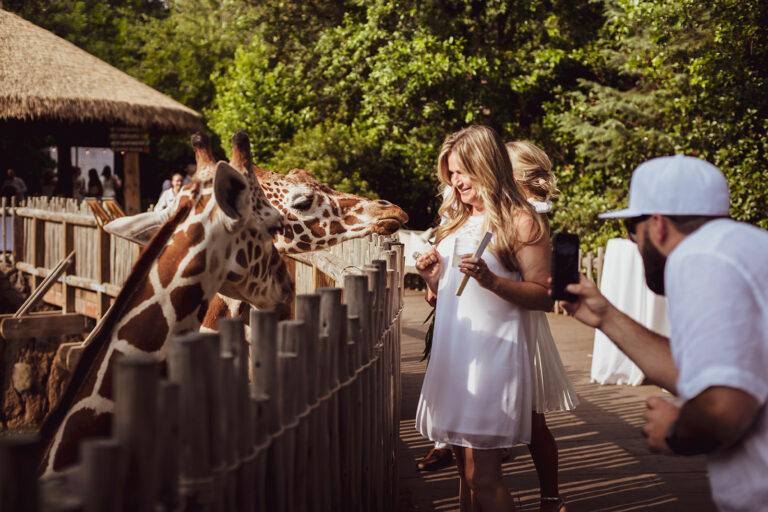 Cowtown Summer Soiree 2023