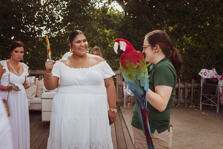 Cowtown Summer Soiree 2023